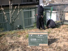 作業風景-横浜市市有地フェンス復旧工事⑦